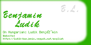 benjamin ludik business card